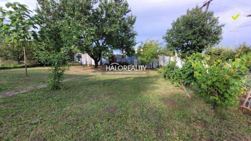 A garden in Nitra with a grassy area, trees, and vines, surrounded by a fence.