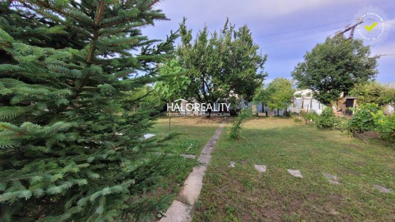 Gardens in Nitra with a path and trees provide a pleasant refuge.