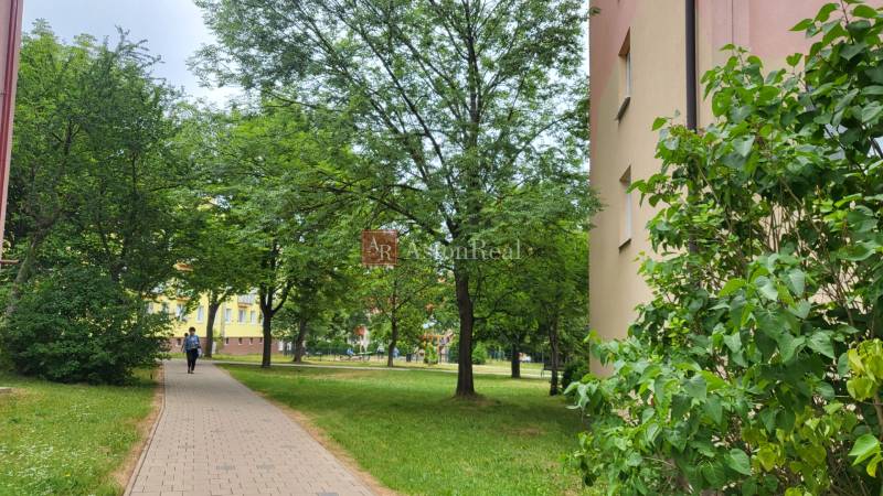 Green park with a walkway on Joliot Curie Street in Poprad, next to a 3-room apartment.