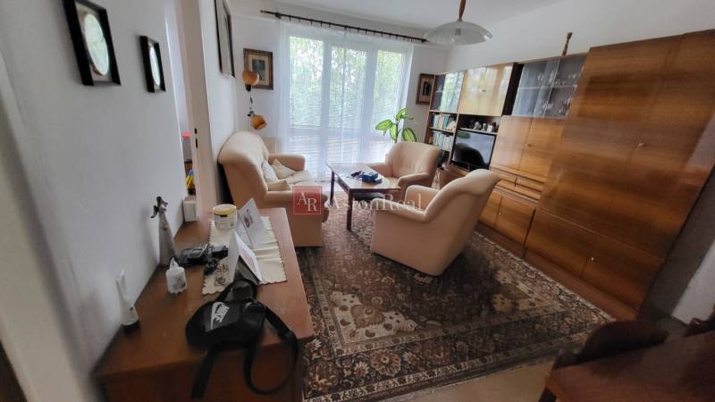 Living room with comfortable seating in a 3-bedroom apartment with large windows and a carpet.
