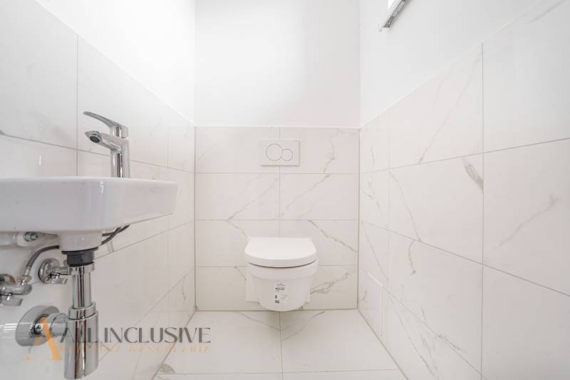 A toilet with a wall-hung bowl and a washbasin in a family house.