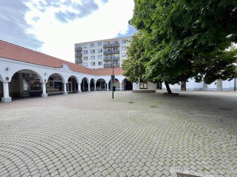 Ármin Vámbéry Square with commercial spaces and trees in the city center.