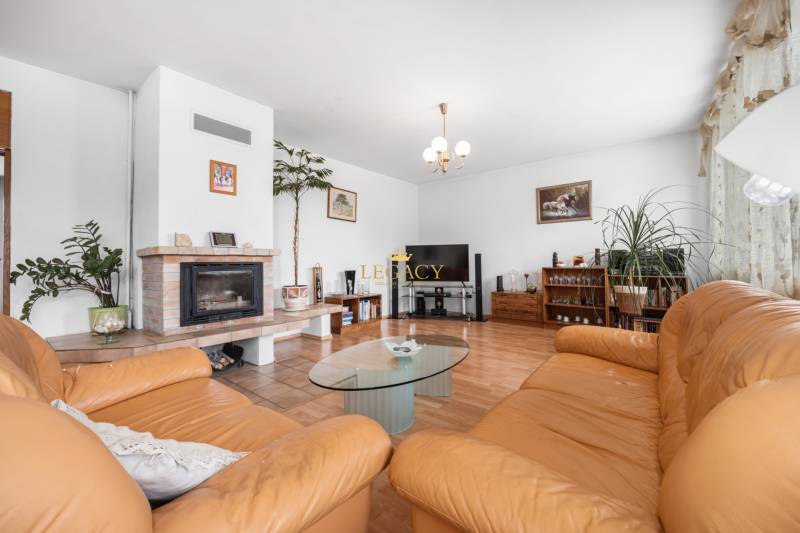 Living room in a family house with a fireplace, sofa, and television.
