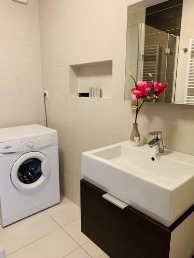 Bathroom with a washing machine, sink, and decoration on Palisády Street, 2-room apartment.