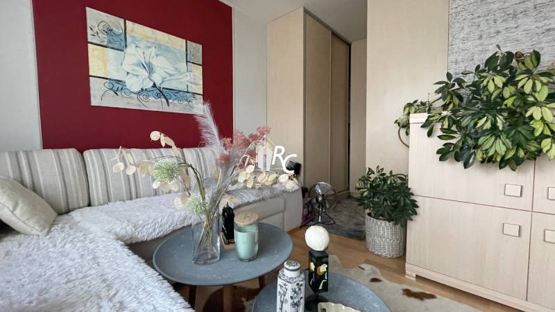 A cozy living room in a studio apartment with decorations, plants, and a painting on the wall.