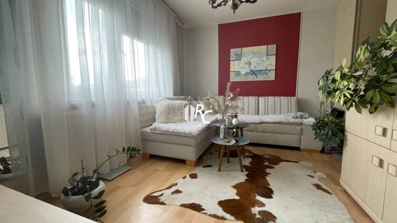 Living room in a one-room apartment with a red wall, a comfortable sofa, and plants.