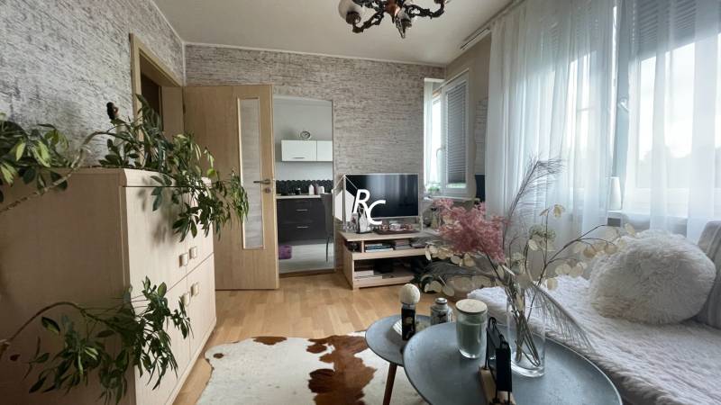 Living room in a studio apartment with furniture, plants, and an animal skin patterned rug.