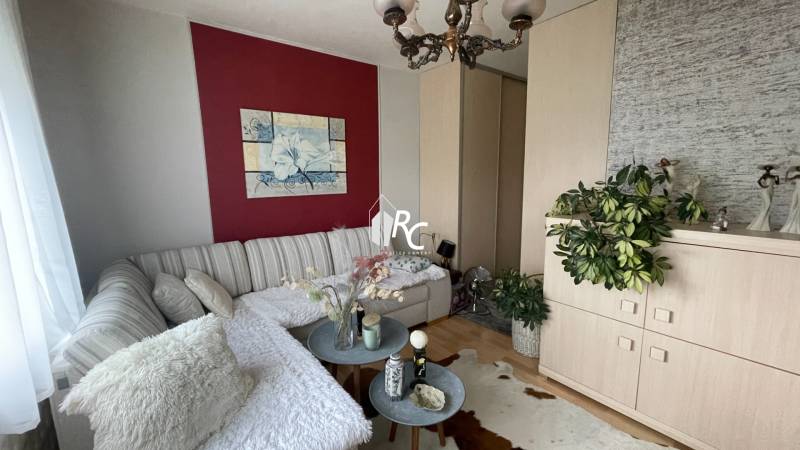 Living area of a studio apartment with a sofa, shelves, and plants.