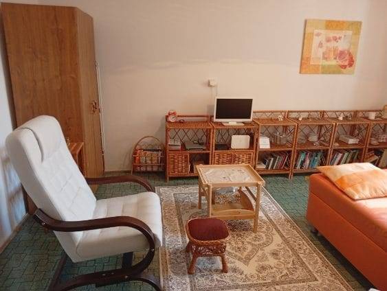 Living area of a studio apartment with a comfortable armchair, bookshelf, and carpet.
