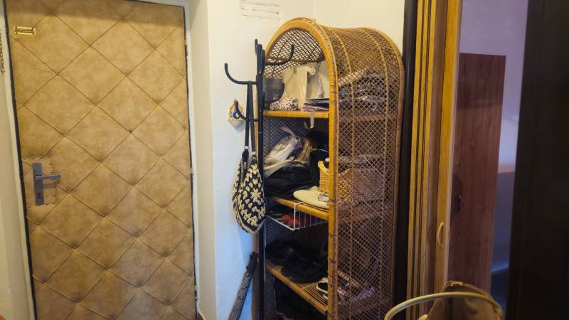 Storage space with a mesh shelf by the door in a studio apartment.