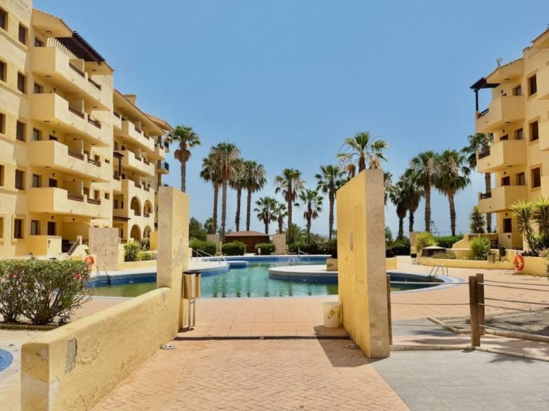 A holiday apartment in Los Alcázares with a pool, palm trees, and yellow buildings in a sunny location.