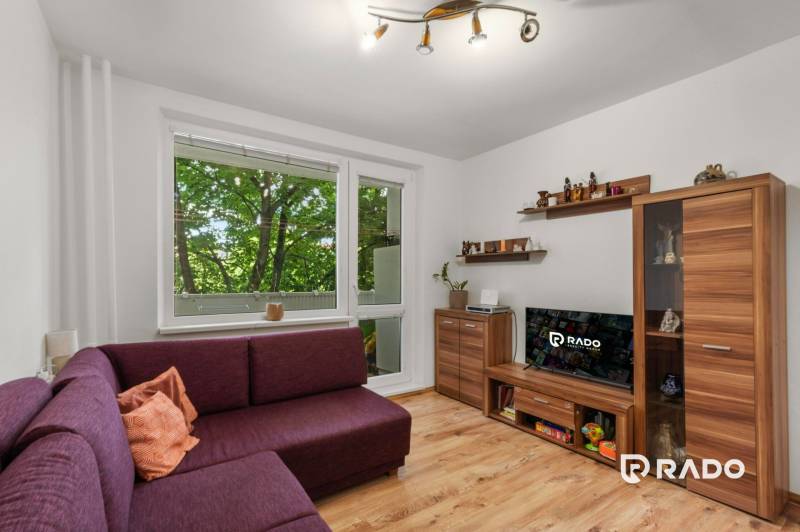 Living room in a three-room apartment with a purple sofa, wooden floor, and furniture.