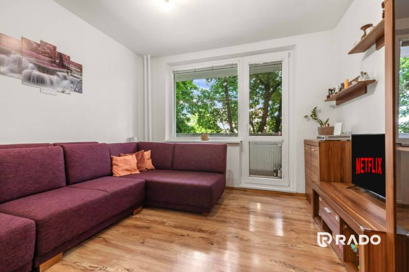 Living room with a purple sofa and TV in a 3-room apartment, large window with a view of greenery.