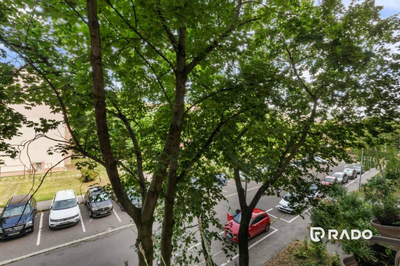 Trees in Senec on Bratislavská Street, view from a 3-room apartment of parked cars.
