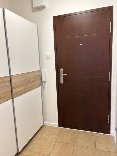 Entrance door in a 1-room apartment with a wardrobe and intercom on light tiles.