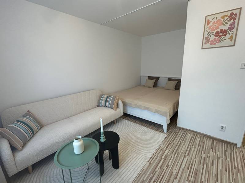 A studio apartment with a sofa, bed, and a decorative painting on the wall.