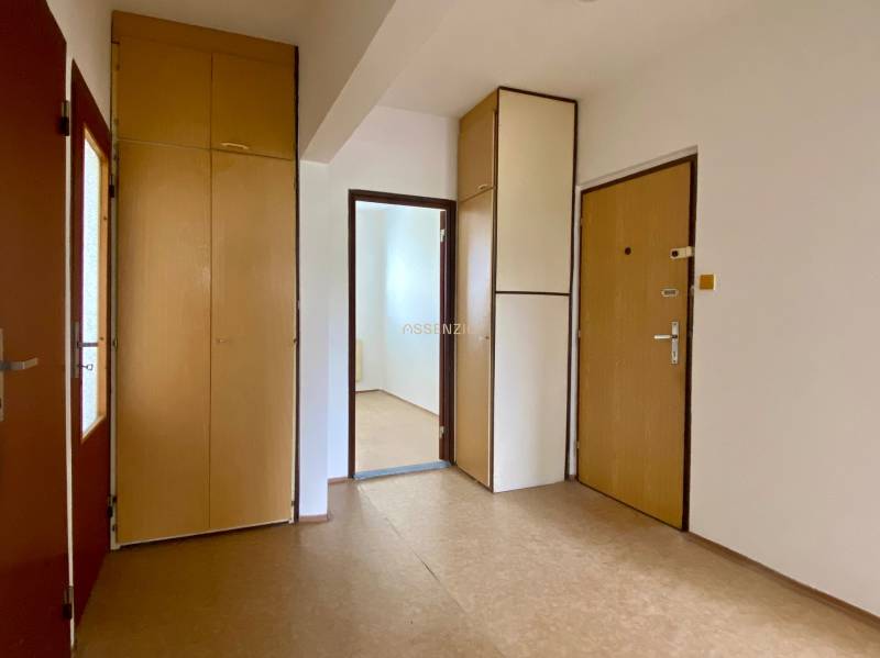A hallway in a 3-room apartment with built-in wardrobes and doors to another room.