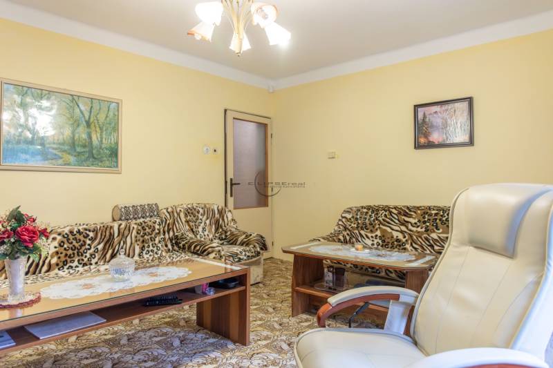 Living room in a family house with a sofa, an armchair, and paintings on the walls.