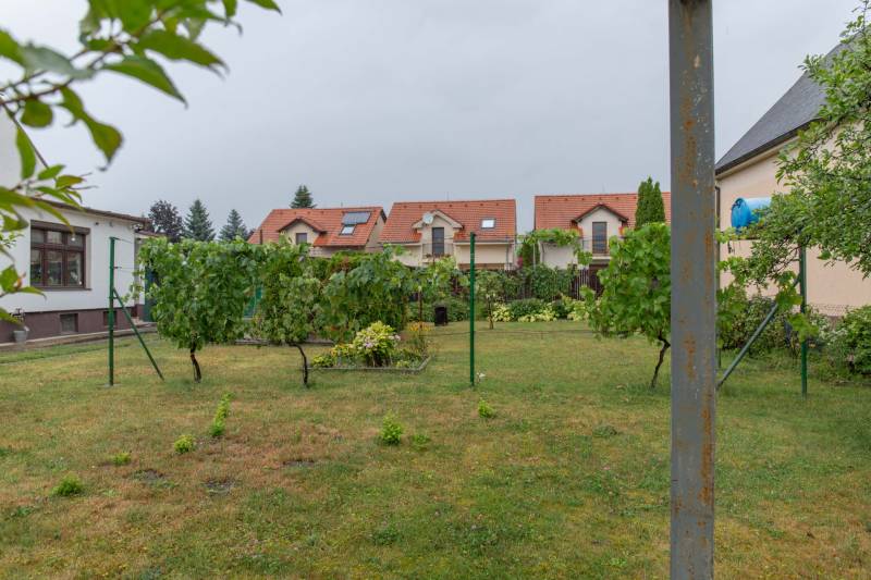 The garden of a family house in Rovinka with vines and a lawn, with rooftops of houses in the background.