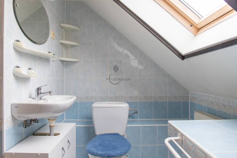 A bathroom in a family house with a sink, toilet, and skylight.