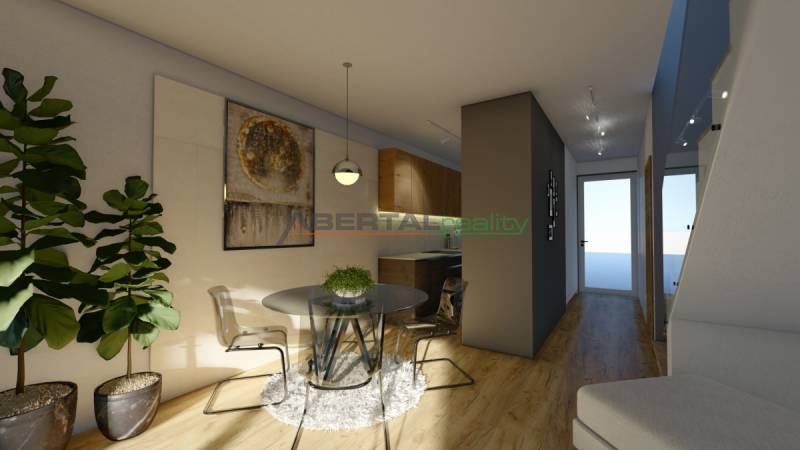 Interior of a 4-room apartment with a dining area, painting, and plants.