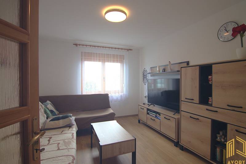 Living room with a sofa, TV, and furniture in a family house.