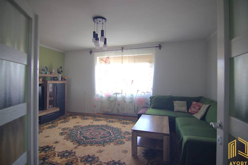 Living room with a carpet, green sofa, and wall cabinet in a family house.