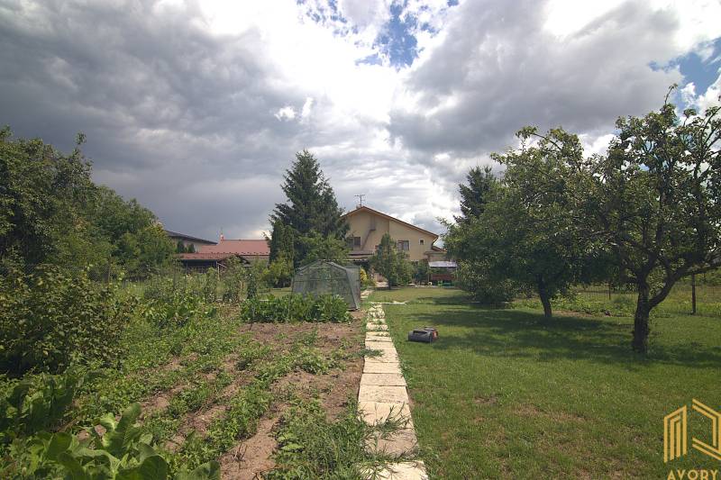 The garden at the family house on Športová Street in Brodské with landscaping and greenery.