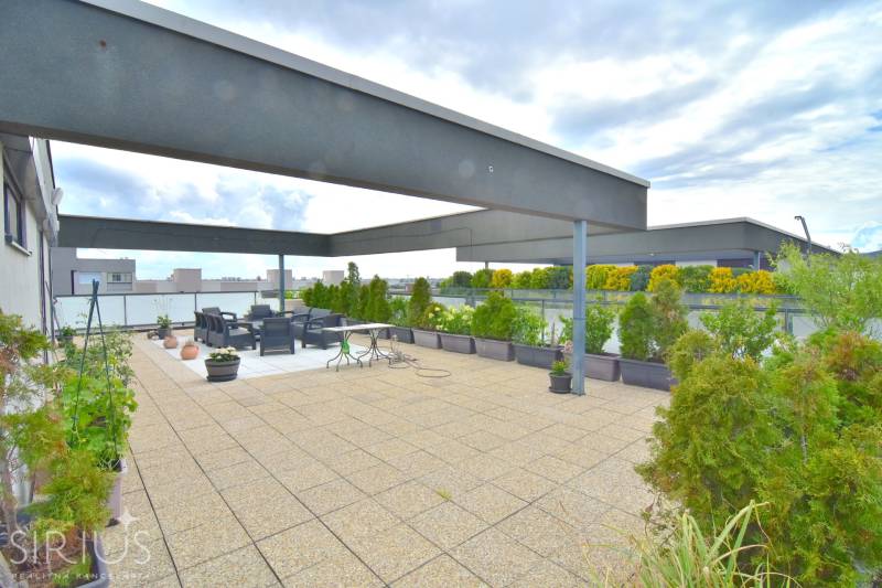 Spacious terrace with seating and greenery on the roof of a 4-room apartment on Pri vinohradoch in Rača.