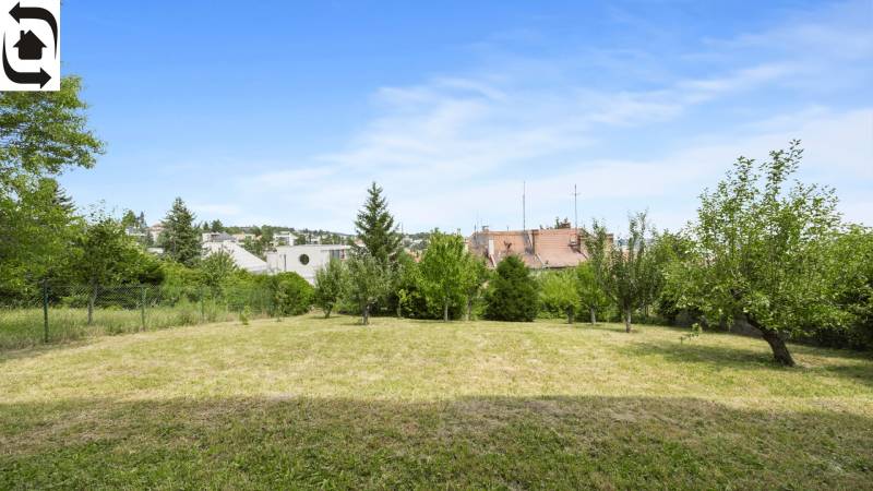 Garden of a family house on Mudroňova Street in Bratislava - Staré Mesto with a lawn and trees.