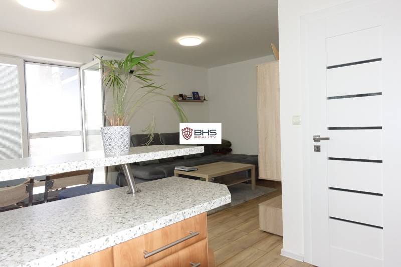 Interior of a 3-room apartment with a sofa, coffee table, and a plant on the kitchen counter.