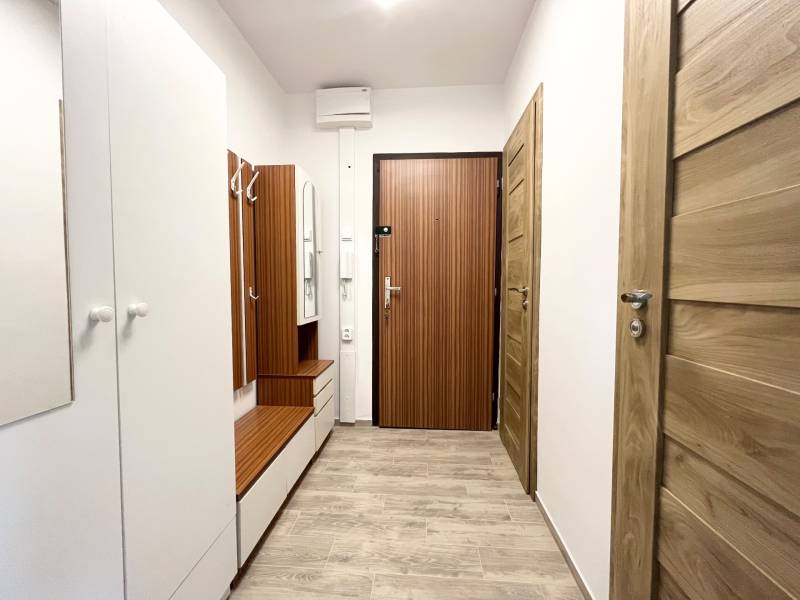 Hallway in a one-room apartment with wooden doors and built-in furniture.