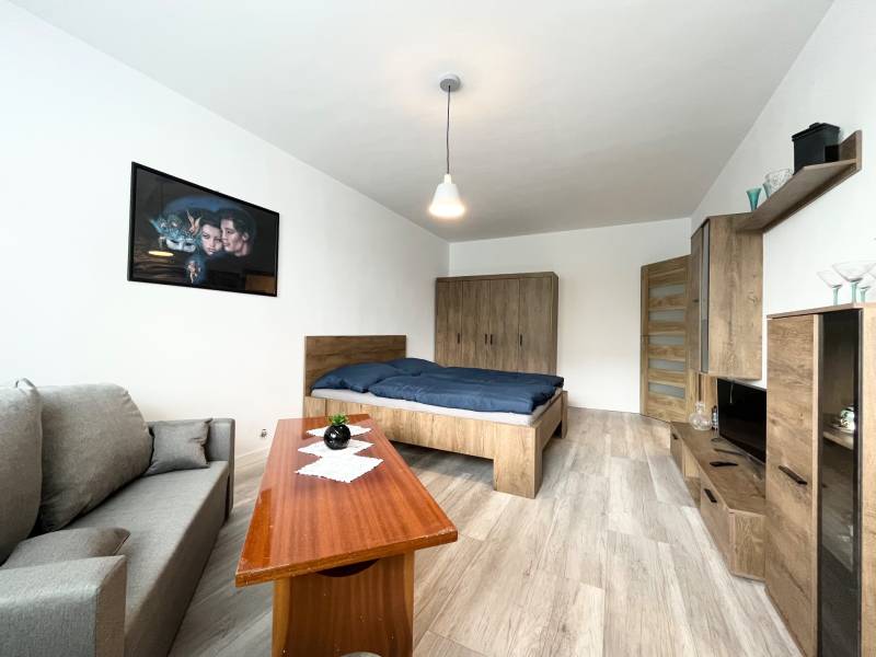 Living room in a one-bedroom apartment with furniture and a painting on the wall.