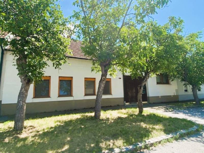 House with trees on Breitegasse Street in Illmitz, project Housing construction.