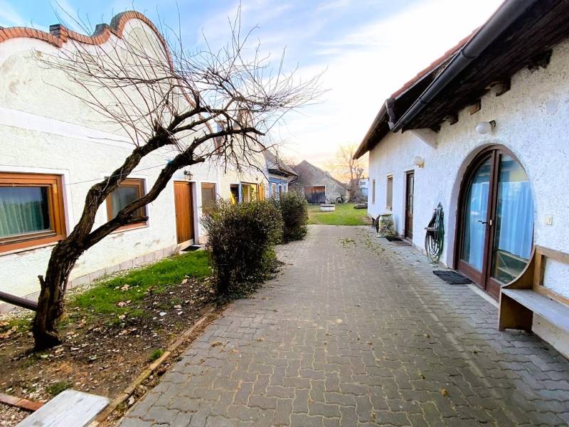 A courtyard with a walkway and a tree during the construction of apartments on Breitegasse in Illmitz.
