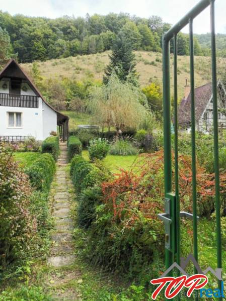 The garden at the cottage on Ružín Street in Malá Lodina with maintained vegetation.