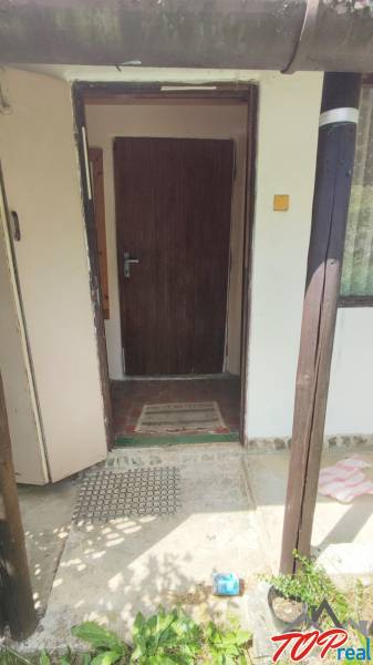 Open door leading to a cabin; concrete floor, doormat, and vegetation.