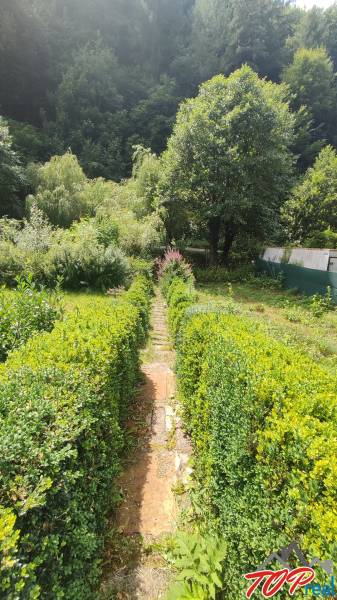 A garden near a cottage in Malá Lodina by the Ružín with a path and rich vegetation.