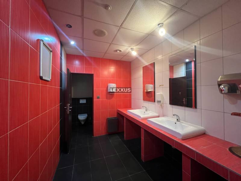 Red and white tiles in commercial premises; two sinks, mirrors, doors to the toilet.