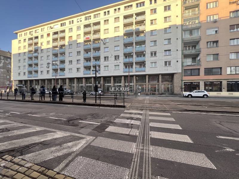Pedestrian crossing and a line of people in Bratislava on Krížna Street in front of commercial premises.