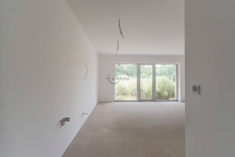 Unfurnished room with large windows in a 2-room apartment, view of greenery.