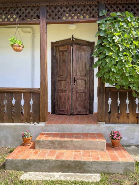 Wooden entrance door of a family house in Pányok, surrounded by plants and flower pots.