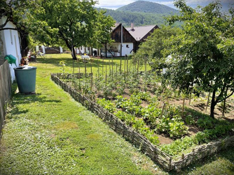 The garden of a family house in Pányok with cultivated plants, lawn, and trees.