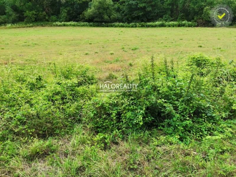 Recreational plots in Podkylava surrounded by lawn and lush vegetation near the forest.