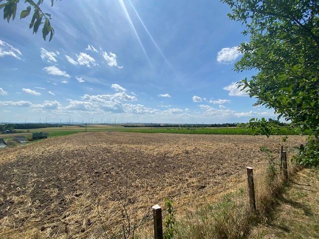 A field behind a family house in Bad Deutsch-Altenburg, blue sky and grass.