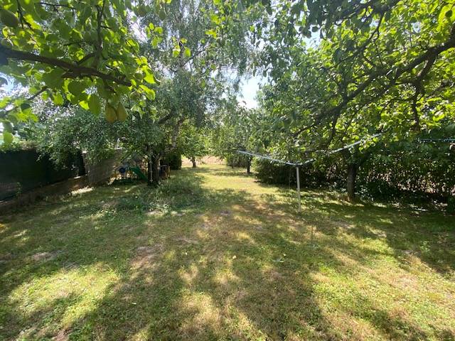 The garden of a family house in Hundsheim with many trees and a green lawn.