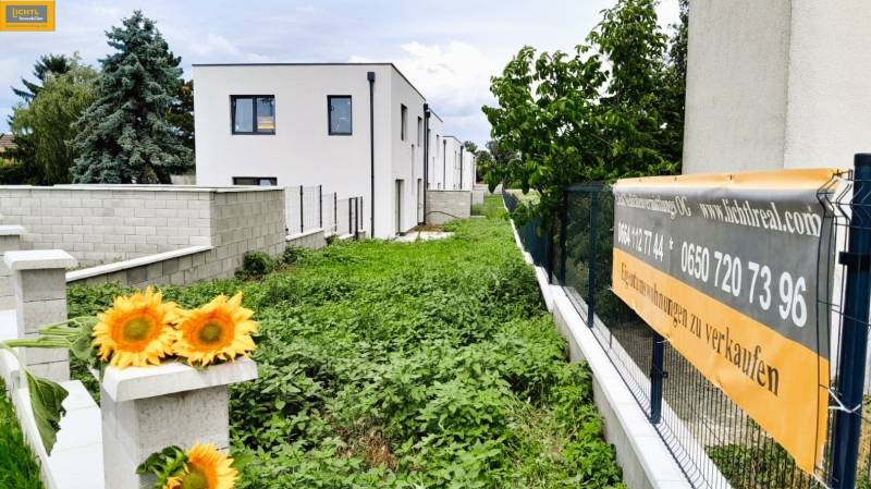New apartments on Untere Hauptstraße in Potzneusiedl surrounded by greenery with colorful sunflowers.