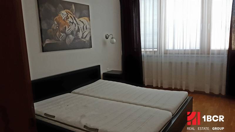 A bedroom in a two-room apartment with a picture of a tiger and a large window with curtains.