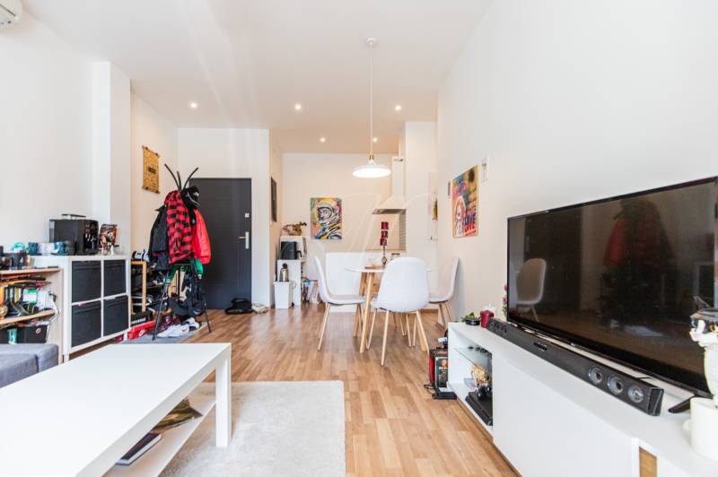Living room in a two-room apartment with a dining table, TV, and decorations.