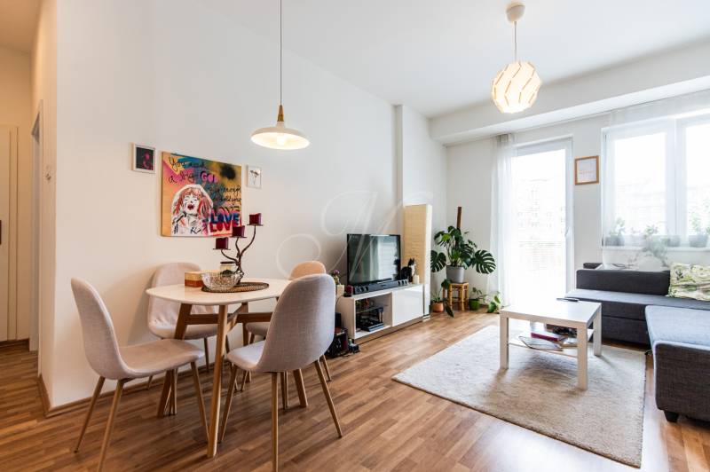 Living room in a two-room apartment with a dining area and a sofa.